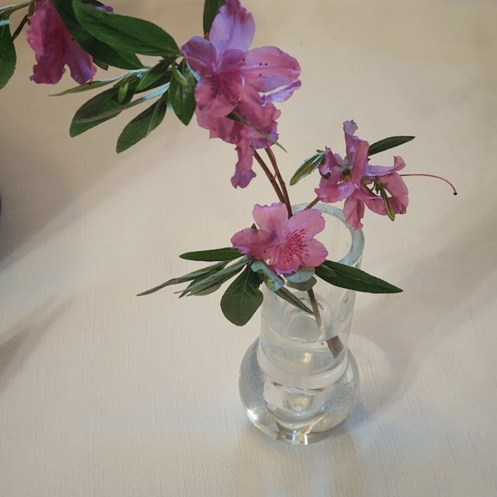 NWOT Bud Vase